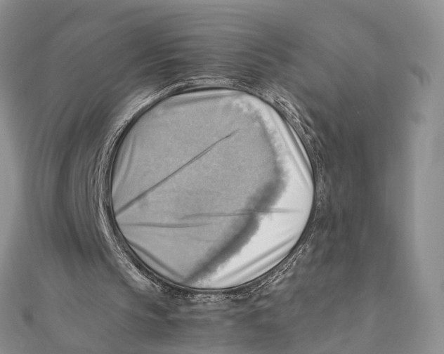 X0000112090145200909011111