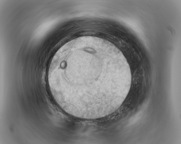 X0000112090146200909011111
