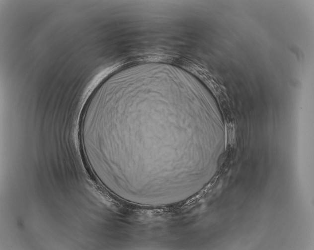 X0000112090147200909011111