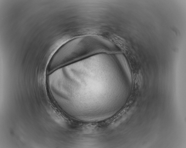 X0000112090148200909011111