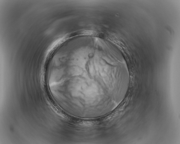 X0000112090149200909011111