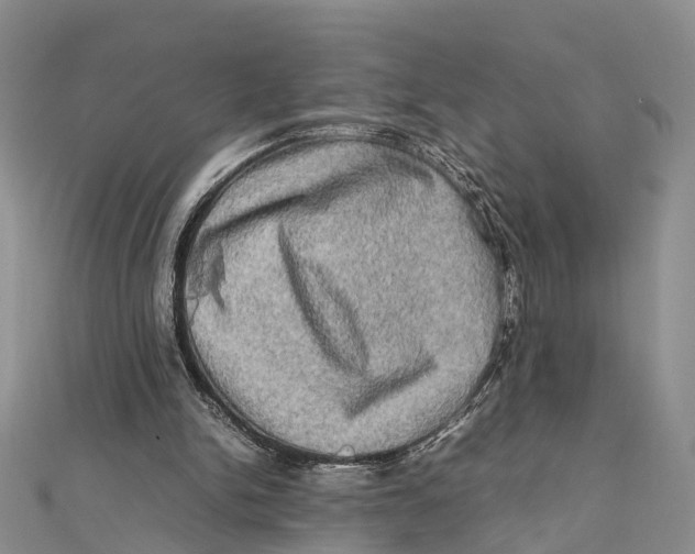 X0000112090150200909011111