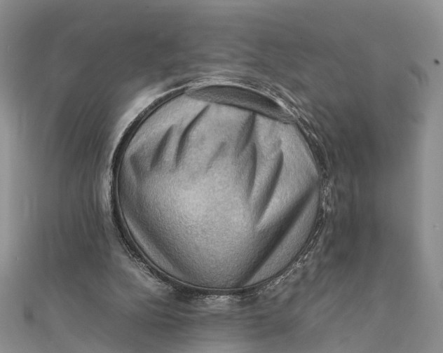 X0000112090152200909011111