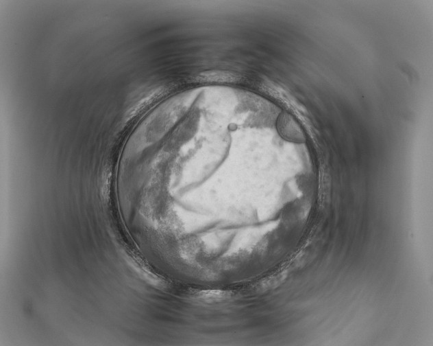 X0000112090153200909011111