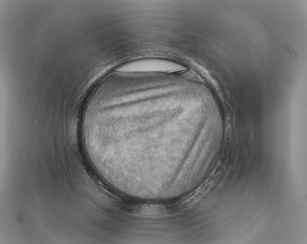 X0000112090154200909011111