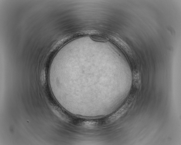 X0000112090158200909011111