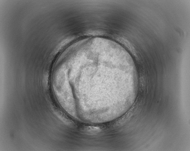 X0000112090159200909011111