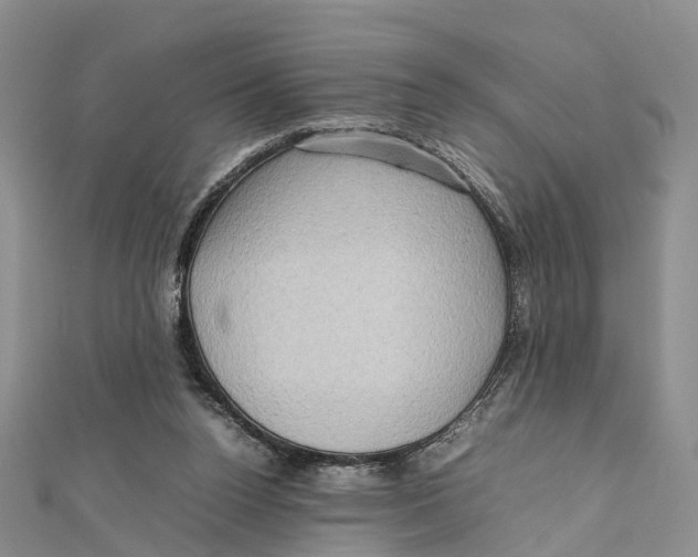 X0000112090160200909011111