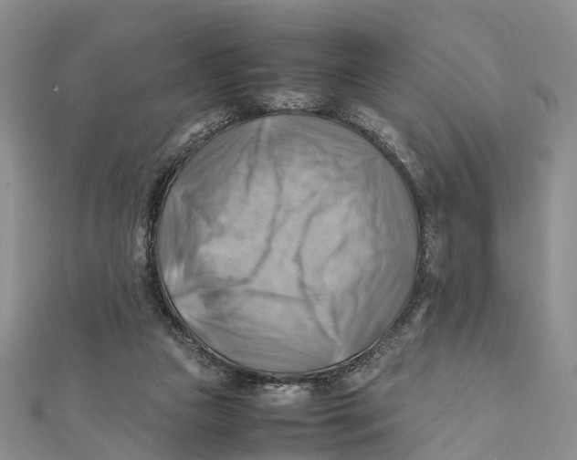 X0000112090161200909011111