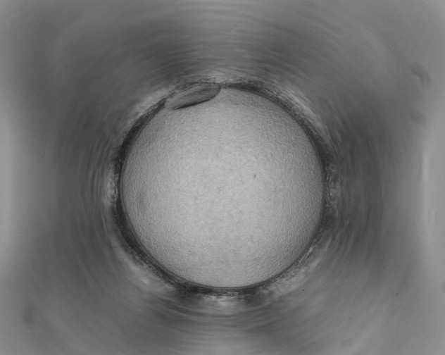 X0000112090164200909011111