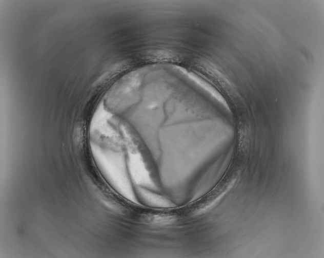 X0000112090165200909011111