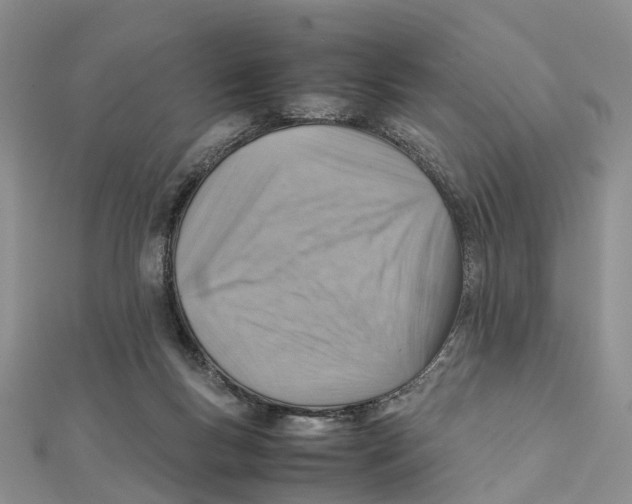 X0000112090167200909011111