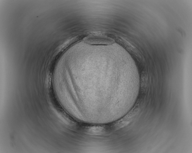 X0000112090168200909011111