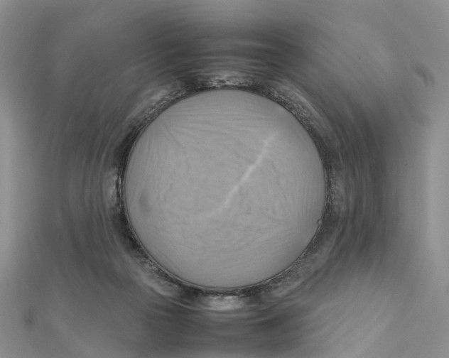 X0000112090169200909011111