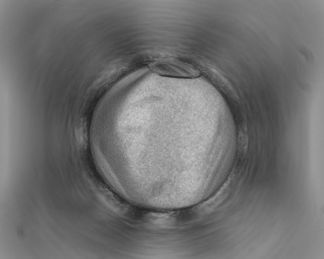 X0000112090170200909011111