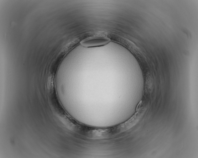 X0000112090172200909011111