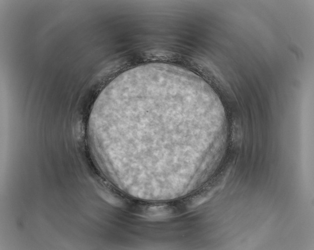 X0000112090173200909011111