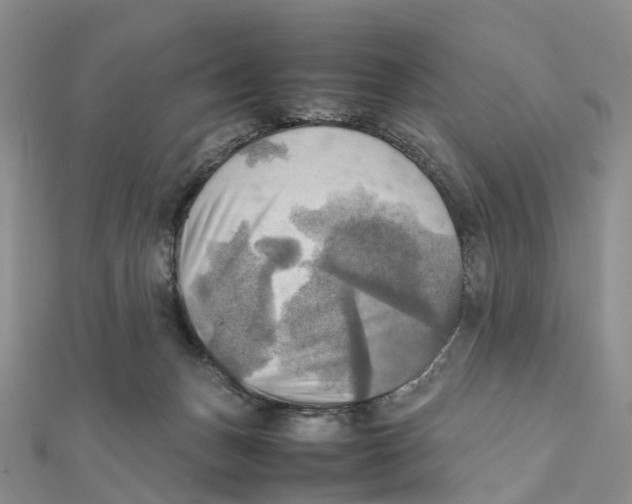 X0000112090175200909011111