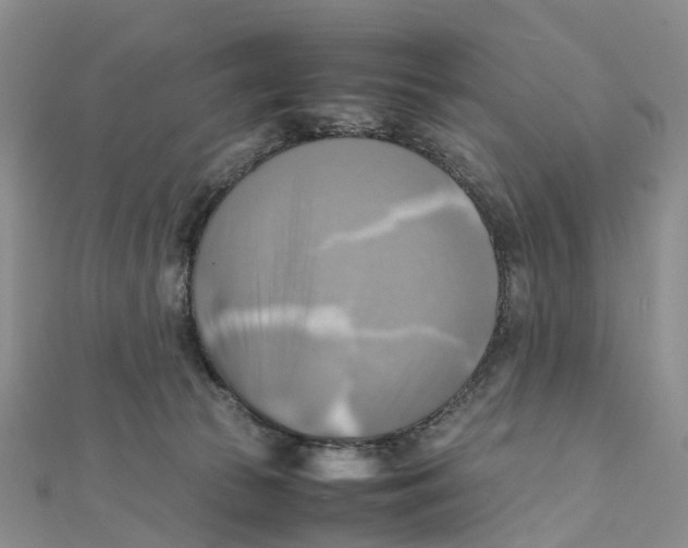 X0000112090177200909011111
