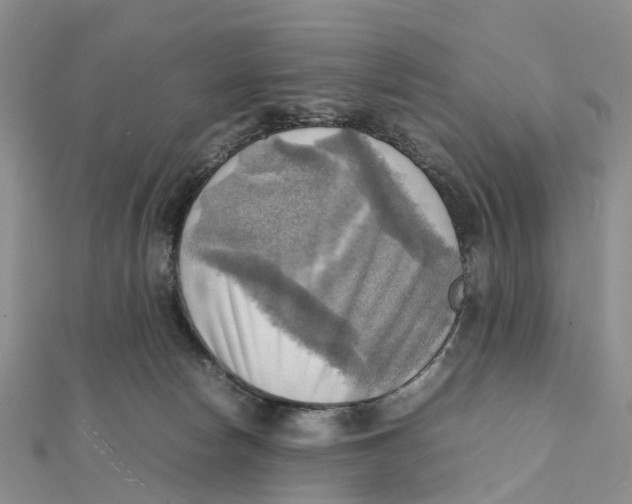 X0000112090178200909011111