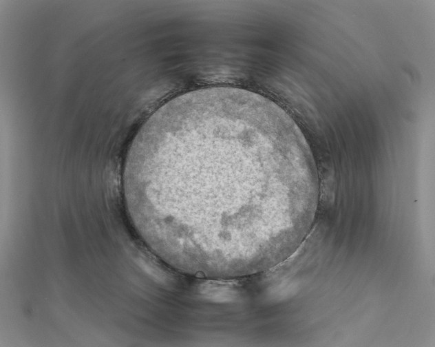 X0000112090179200909011111