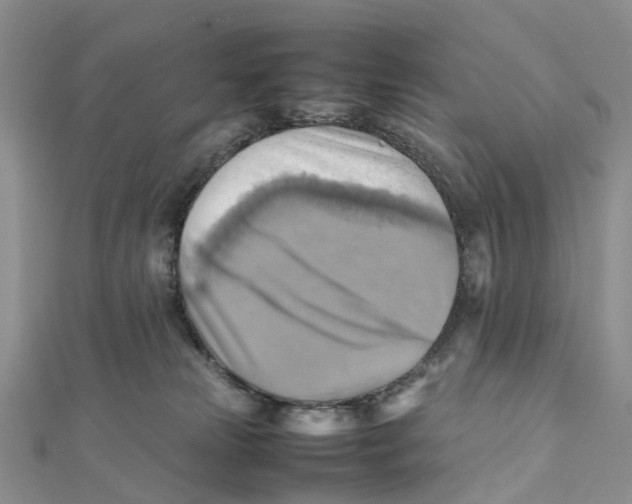 X0000112090181200909011111
