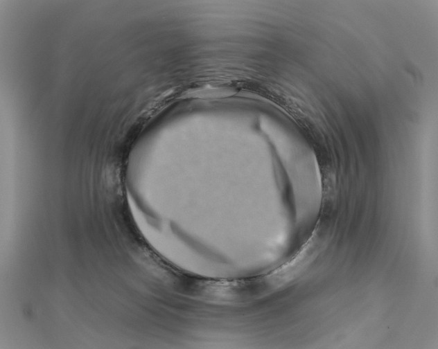 X0000112090182200909011111