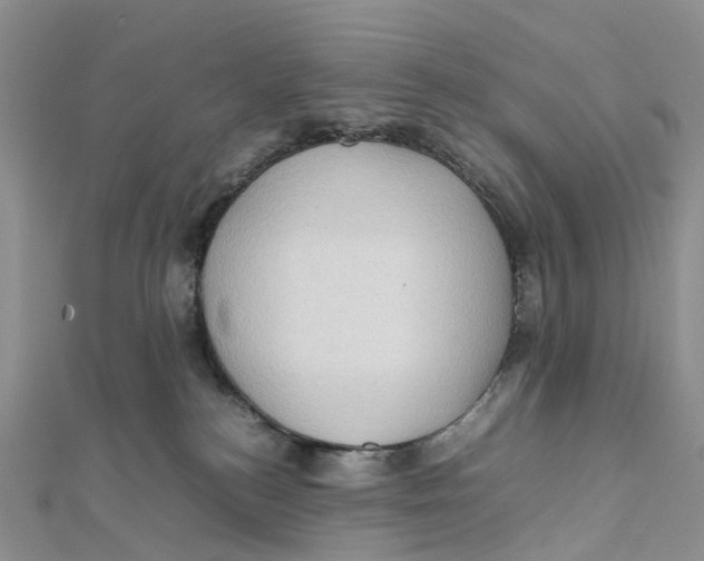 X0000112090184200909011111
