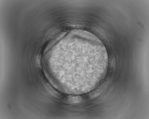 X0000112090185200909011111