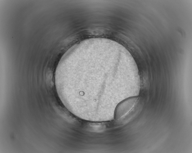 X0000112090187200909011111
