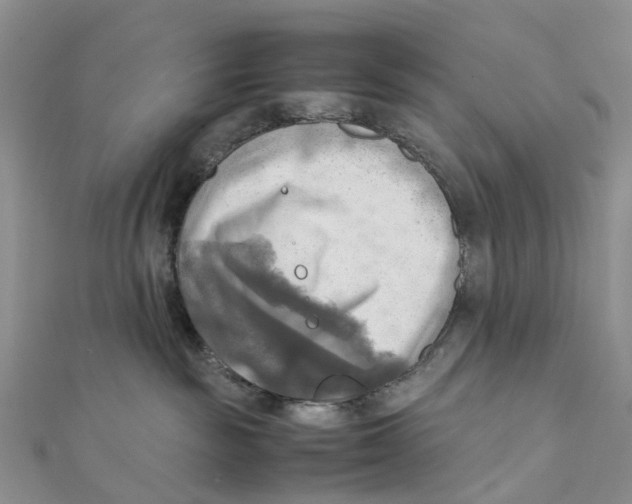 X0000112090189200909011111