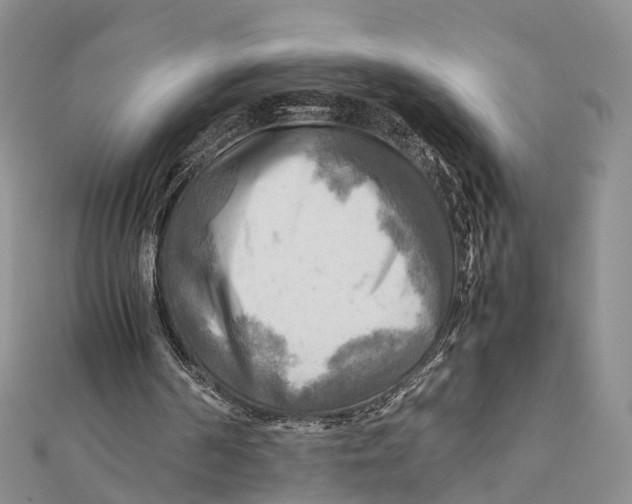 X0000112090194200909011111