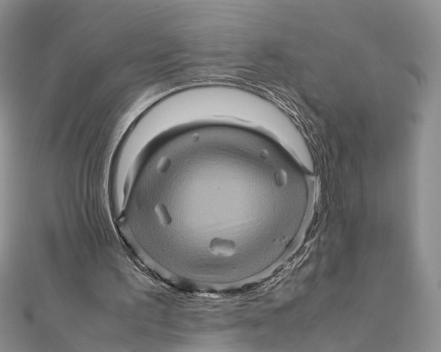 X0000112090195200909011111