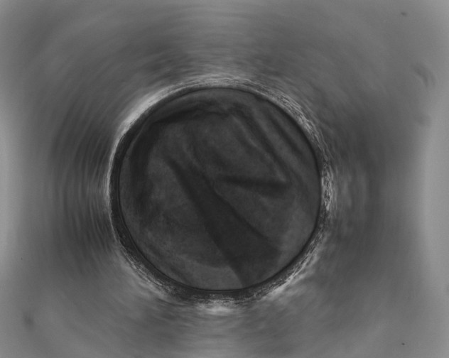 X0000112090196200909011111