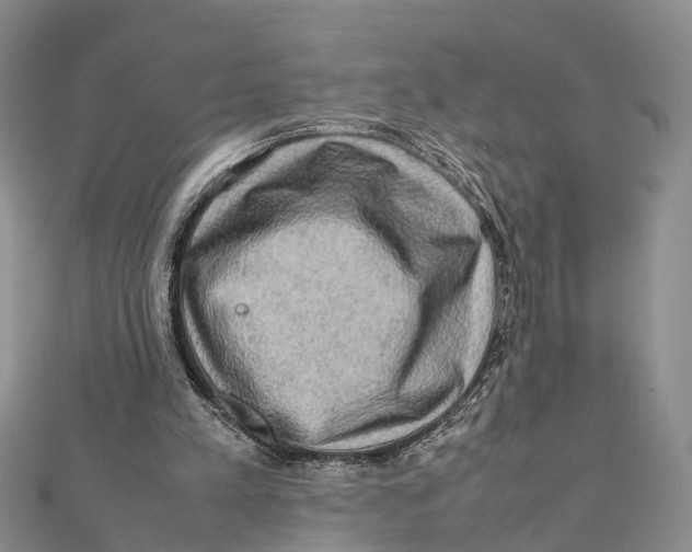 X0000112090197200909011111