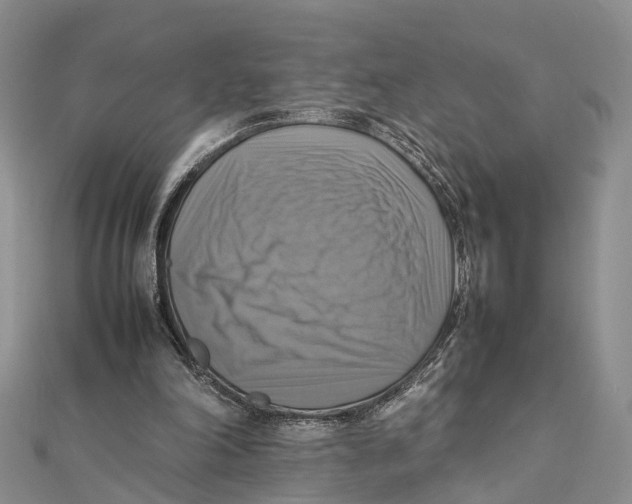 X0000112090198200909011111