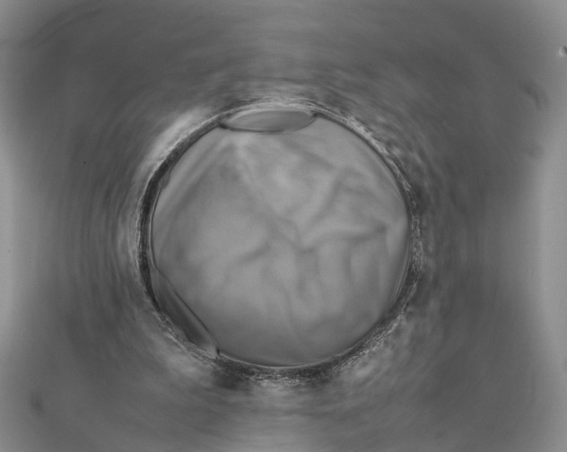 X0000112090199200909011111