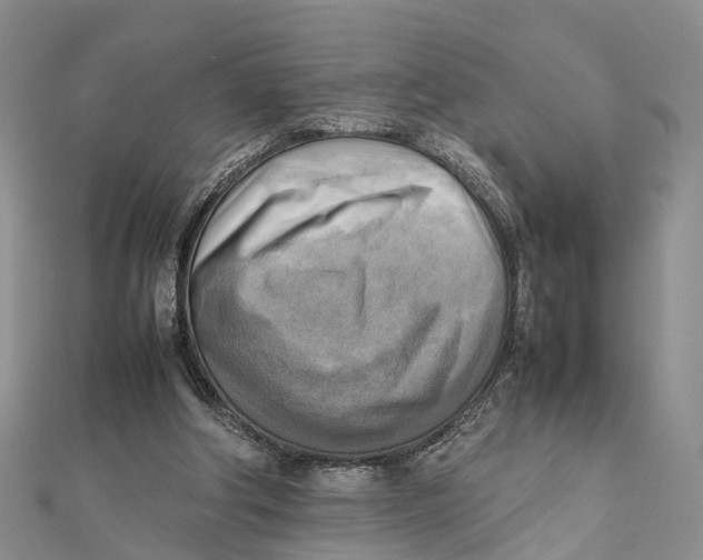 X0000112090202200909011111