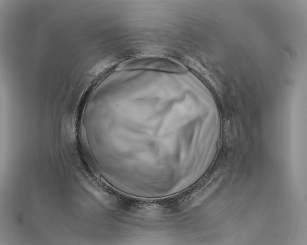 X0000112090203200909011111