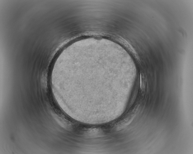 X0000112090204200909011111