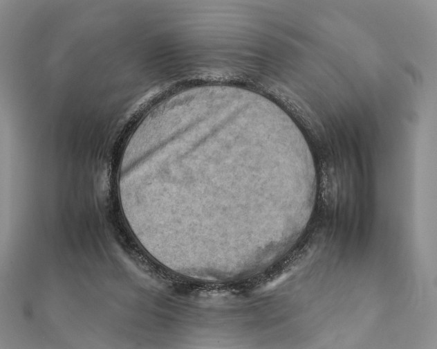 X0000112090208200909011111