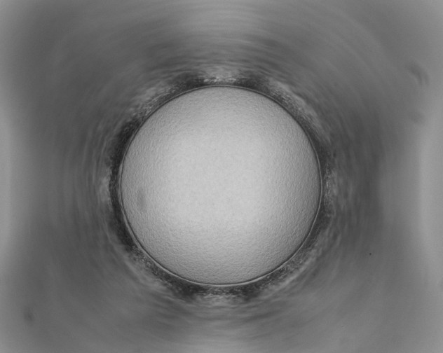 X0000112090209200909011111
