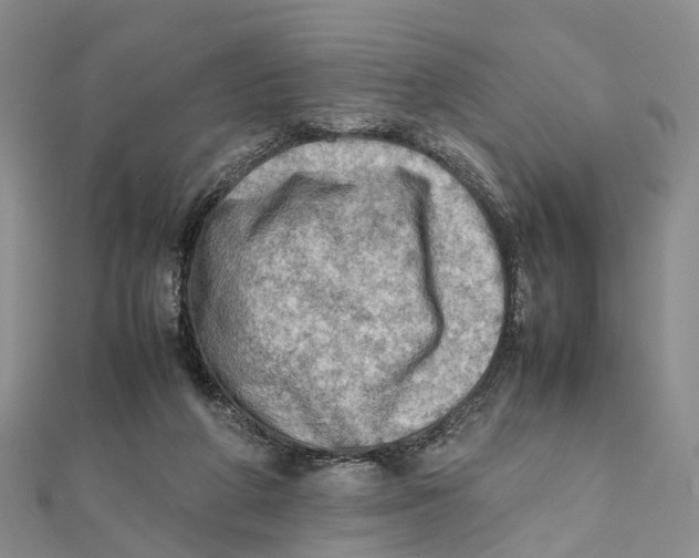 X0000112090210200909011111