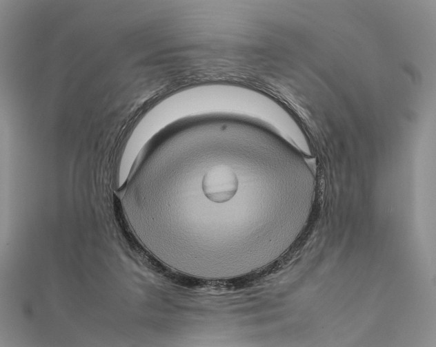 X0000112090211200909011111
