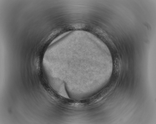 X0000112090212200909011111