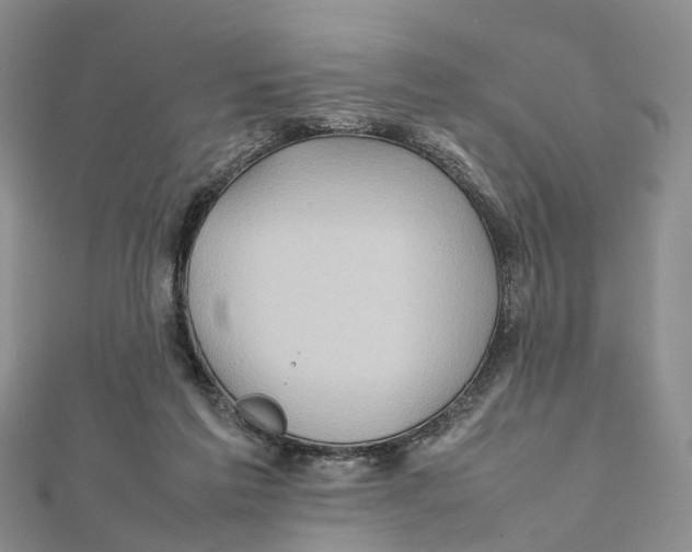 X0000112090213200909011111