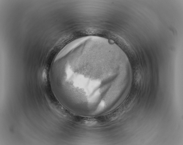X0000112090214200909011111
