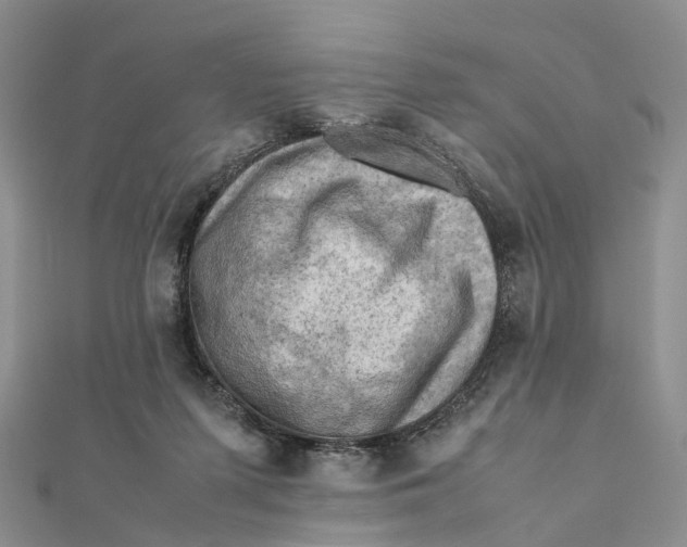 X0000112090215200909011111