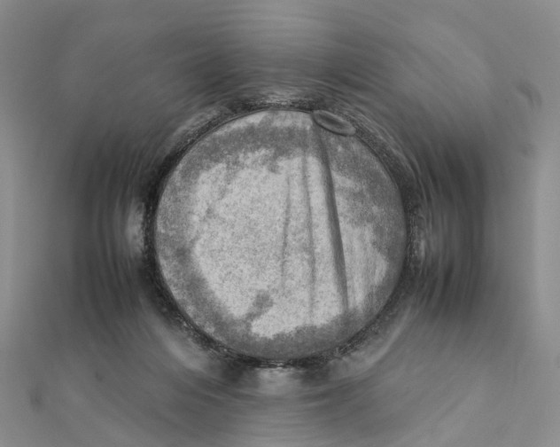 X0000112090216200909011111