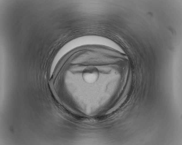 X0000112090217200909011111